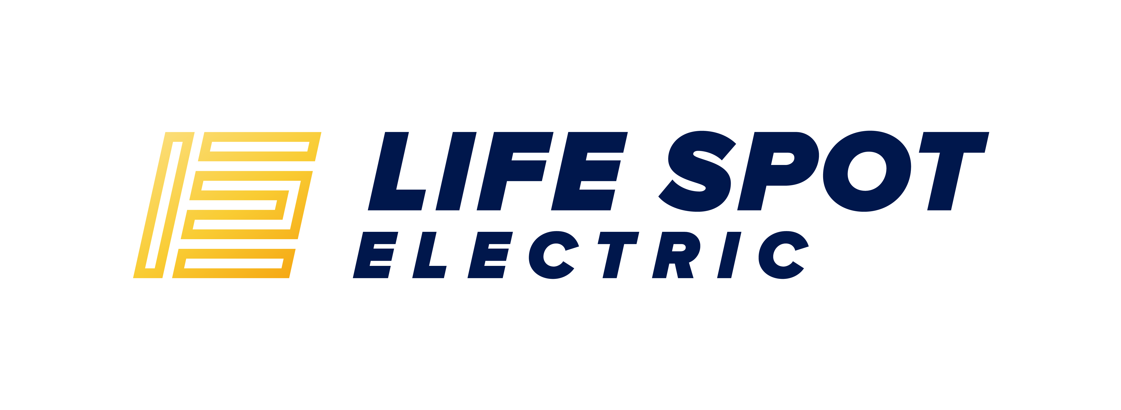 Life Spot Electric